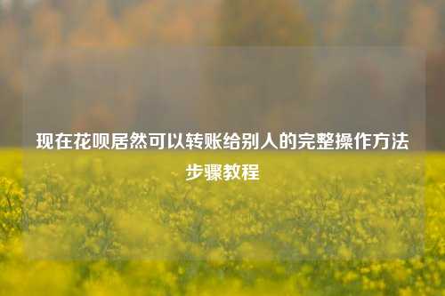 现在花呗居然可以转账给别人的完整操作方法步骤教程