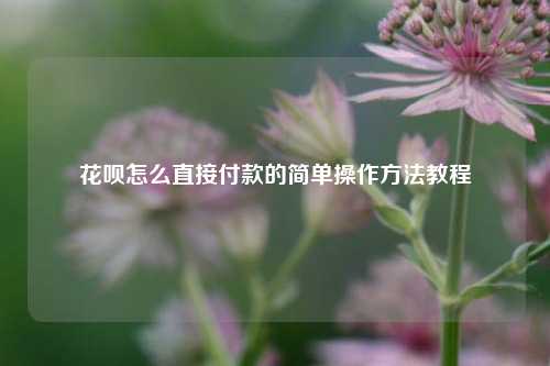 花呗怎么直接付款的简单操作方法教程