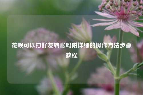 花呗可以扫好友转账吗附详细的操作方法步骤教程