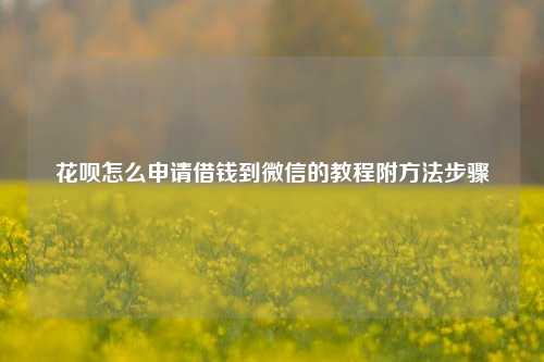 花呗怎么申请借钱到微信的教程附方法步骤