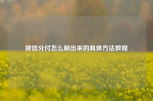 微信分付怎么刷出来的具体方法教程