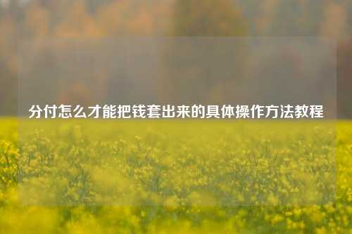 分付怎么才能把钱套出来的具体操作方法教程