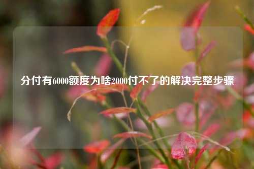 分付有6000额度为啥2000付不了的解决完整步骤