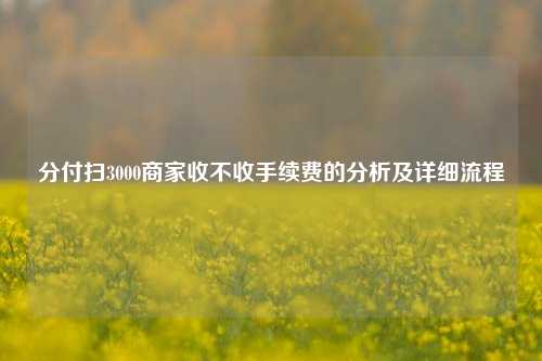 分付扫3000商家收不收手续费的分析及详细流程