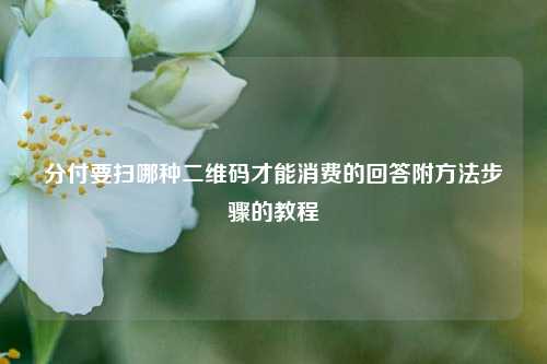 分付要扫哪种二维码才能消费的回答附方法步骤的教程