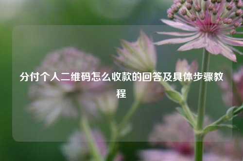 分付个人二维码怎么收款的回答及具体步骤教程