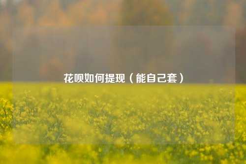 花呗如何提现（能自己套）