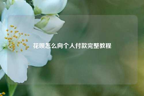 花呗怎么向个人付款完整教程