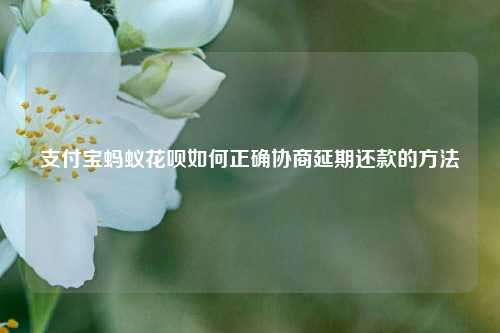 支付宝蚂蚁花呗如何正确协商延期还款的方法