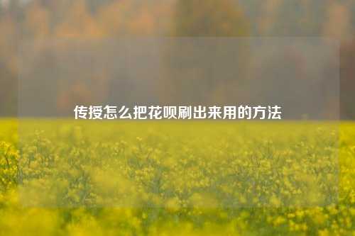 传授怎么把花呗刷出来用的方法