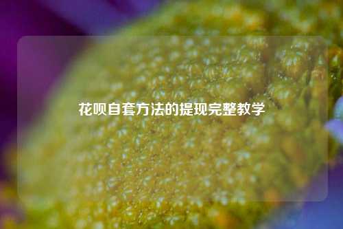 花呗自套方法的提现完整教学