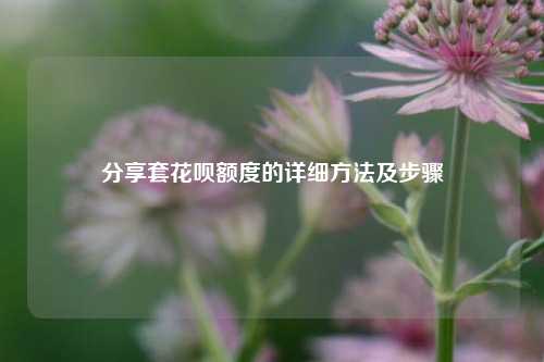 分享套花呗额度的详细方法及步骤