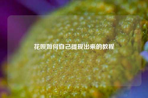 花呗如何自己提现出来的教程