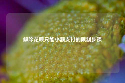 解除花呗只能小额支付的限制步骤