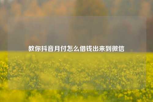 教你抖音月付怎么借钱出来到微信