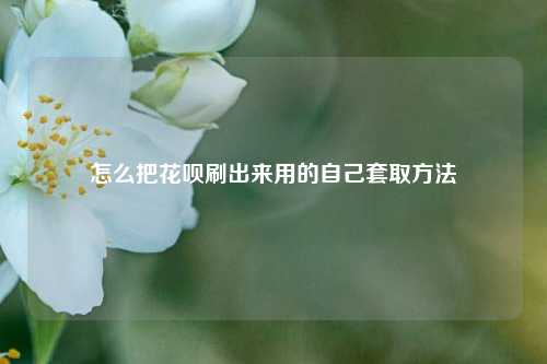 怎么把花呗刷出来用的自己套取方法