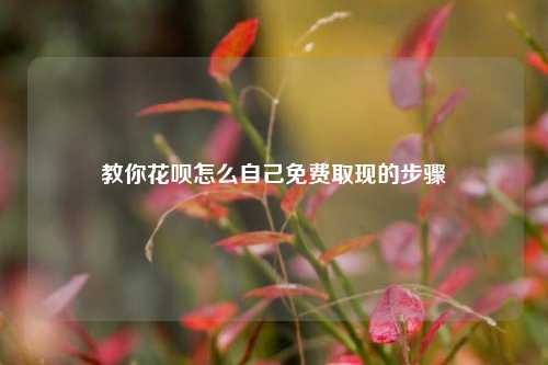 教你花呗怎么自己免费取现的步骤