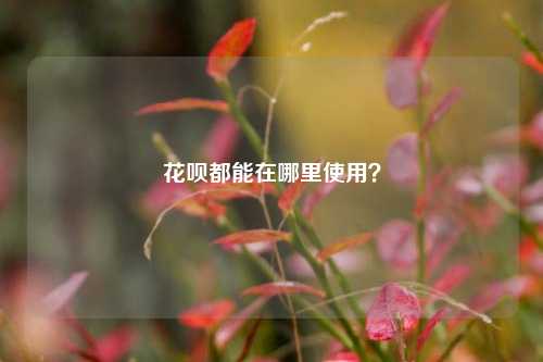 花呗都能在哪里使用？