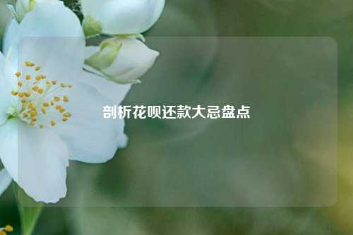 剖析花呗还款大忌盘点