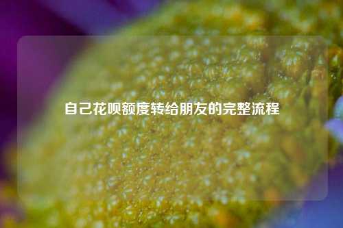 自己花呗额度转给朋友的完整流程