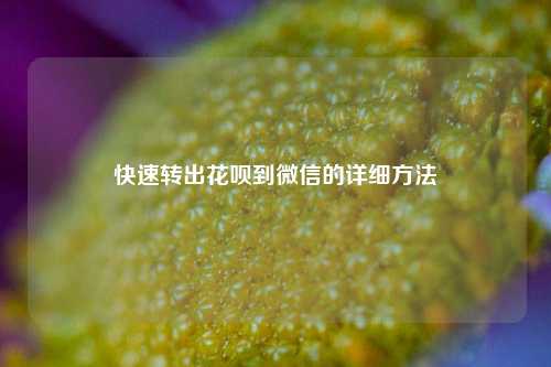 快速转出花呗到微信的详细方法