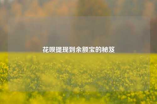 花呗提现到余额宝的秘笈