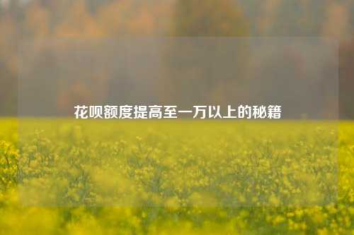 花呗额度提高至一万以上的秘籍