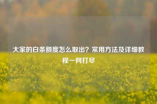 大家的白条额度怎么取出？常用方法及详细教程一网打尽