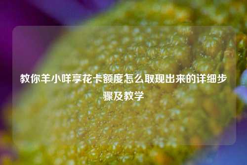 教你羊小咩享花卡额度怎么取现出来的详细步骤及教学